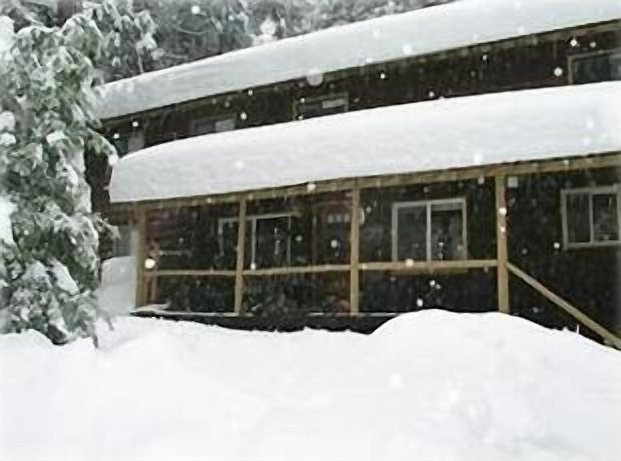 Beautiful Cabin in Big Trees