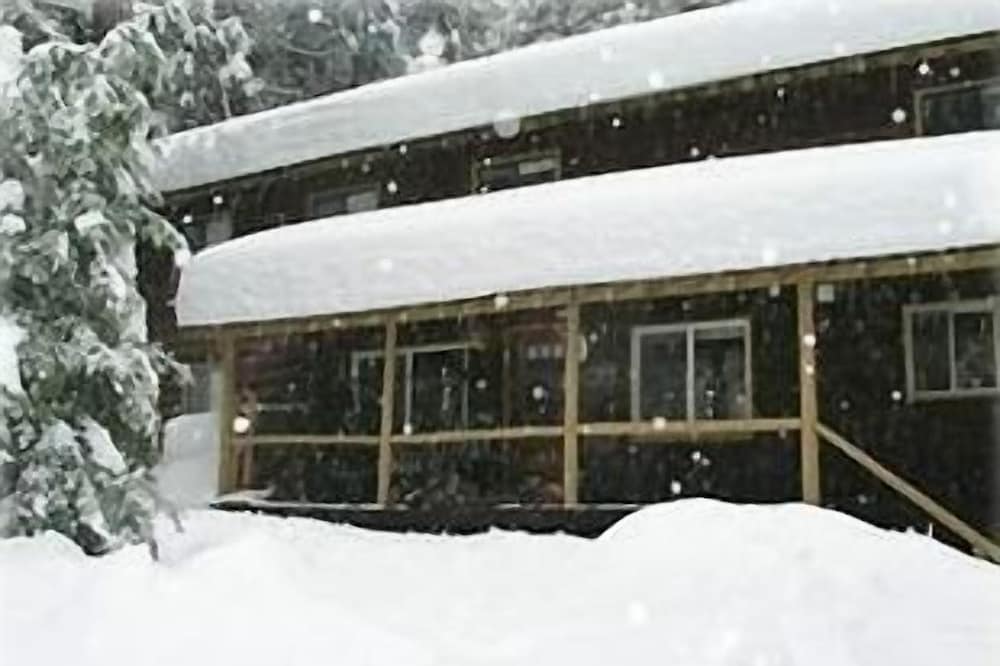 Beautiful Cabin in Big Trees