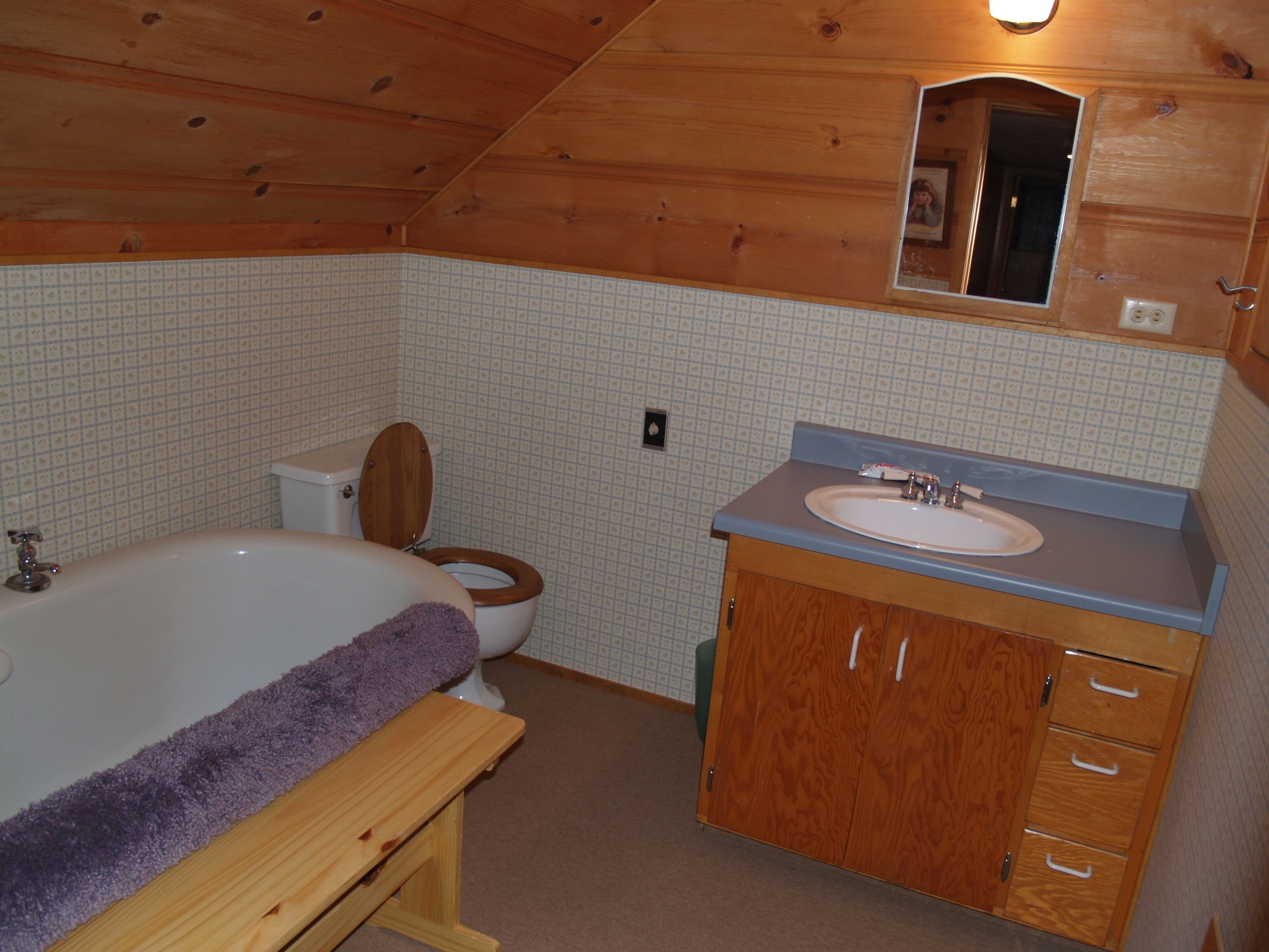 Beautiful Cabin in Big Trees