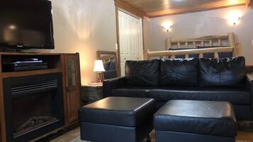 Télévision, cheminée, lecteur de DVD, livres