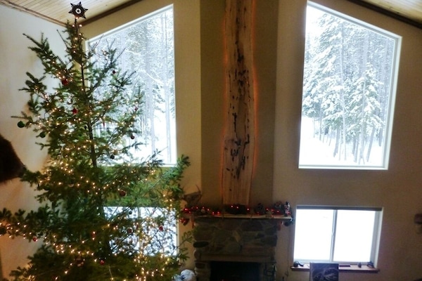 Looking out the large, great room windows towards the snow clad trees.