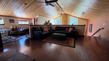 Télévision, cheminée, lecteur de DVD, livres