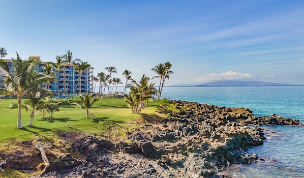 A coastal hotel with a rocky shoreline, palm trees, and a clear view of the ocean.