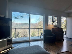 TV, DVD player, books, stereo - Light-Filled Mountain Retreat in Shenandoah with views of Great North Mountain (Mt. Jackson)