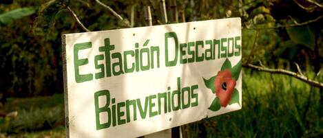 Terrein van de accommodatie