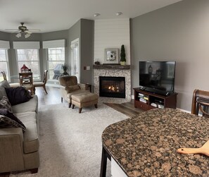 TV, fireplace, DVD player, computer monitors