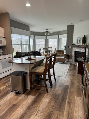 Televisión, chimenea, reproductor de DVD y monitor de computadora 