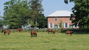 Un establo con caballos pastando en un campo cubierto de hierba, un edificio de ladrillo con puertas verdes y una cerca de madera.