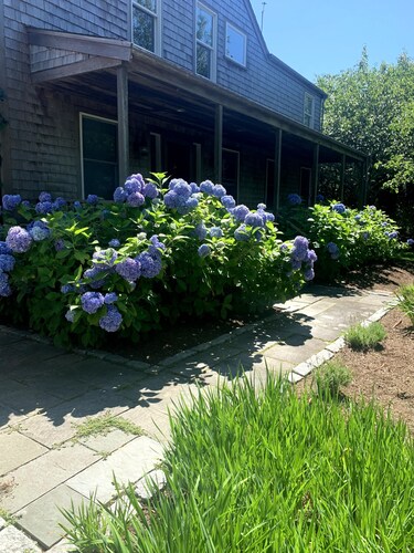 1 JULY WEEK OPEN + CAR FERRY: 5BR Oasis w/ Pool & 10 Bikes