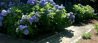 1 JULY WEEK OPEN + CAR FERRY: 5BR Oasis w/ Pool & 10 Bikes