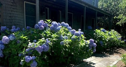 1 JULY WEEK OPEN + CAR FERRY: 5BR Oasis w/ Pool & 10 Bikes