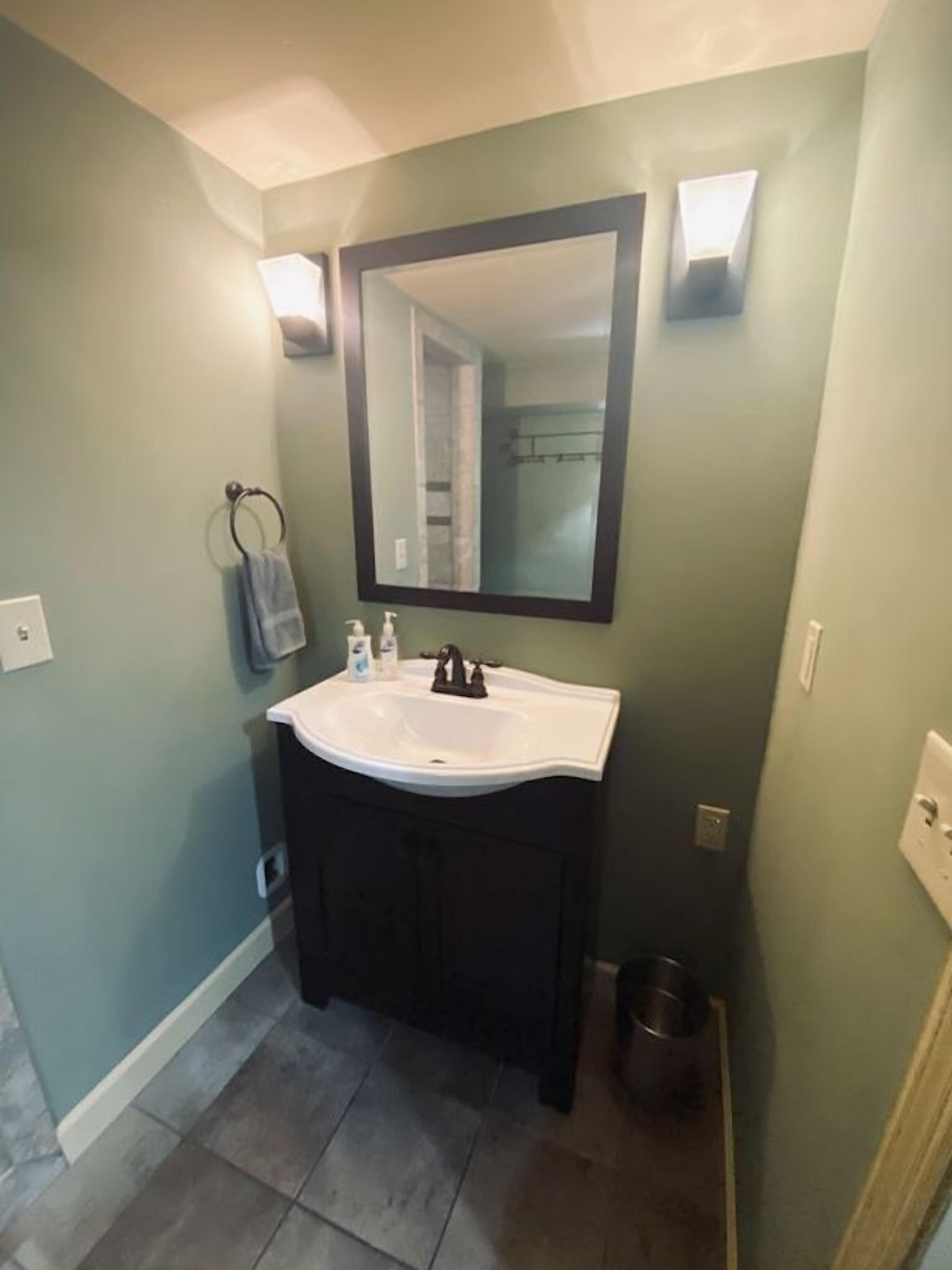 Un bagno con un lavandino bianco, un mobile contenitore scuro e uno specchio grande.