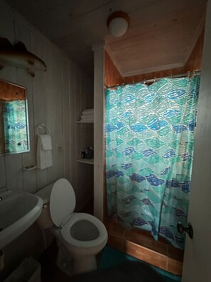Une salle de bain équipée de toilettes, d’un lavabo et d’un rideau de douche.