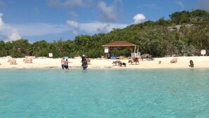 A beach with clear turquoise water, a wooden structure, and a signboard. - Seashell Cottage with breathtaking views! Near Swimming Pigs.  (exuma)