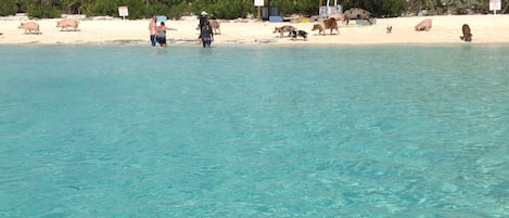 在海滩
