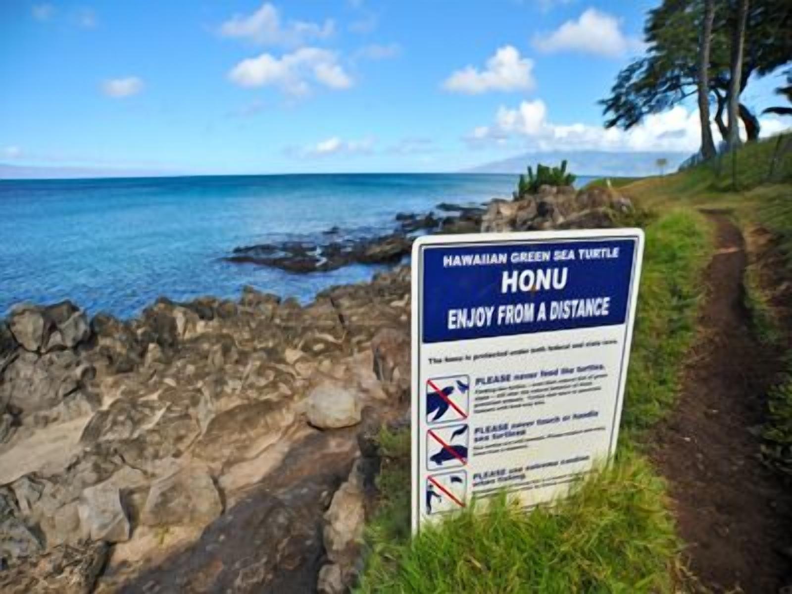 Schild am Strand mit Warnung vor Meeresschildkröten und der Empfehlung, diese aus der Ferne zu beobachten.