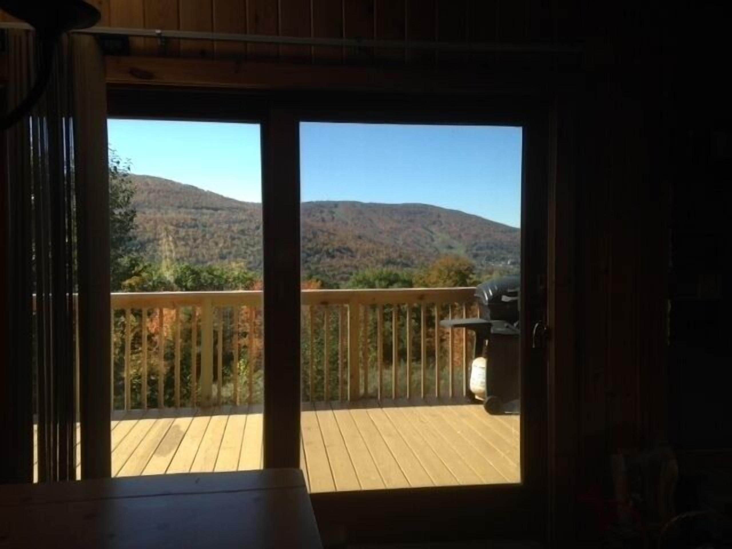 view from the dinning room table