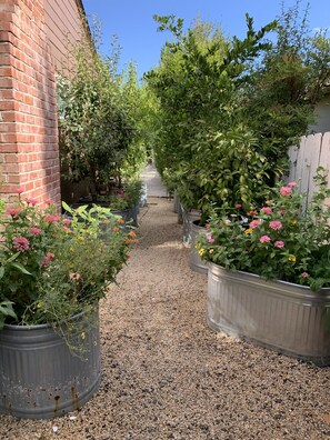 Property grounds - Spa-Like Paradise Walking Distance To Wineries,  Shops, No Final Cleaning Fee (St. Helena)