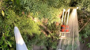 A garden with a wooden bench, a small table with flowers, and a water feature with a hose. - Spa-Like Paradise Walking Distance To Wineries,  Shops, No Final Cleaning Fee (St. Helena)