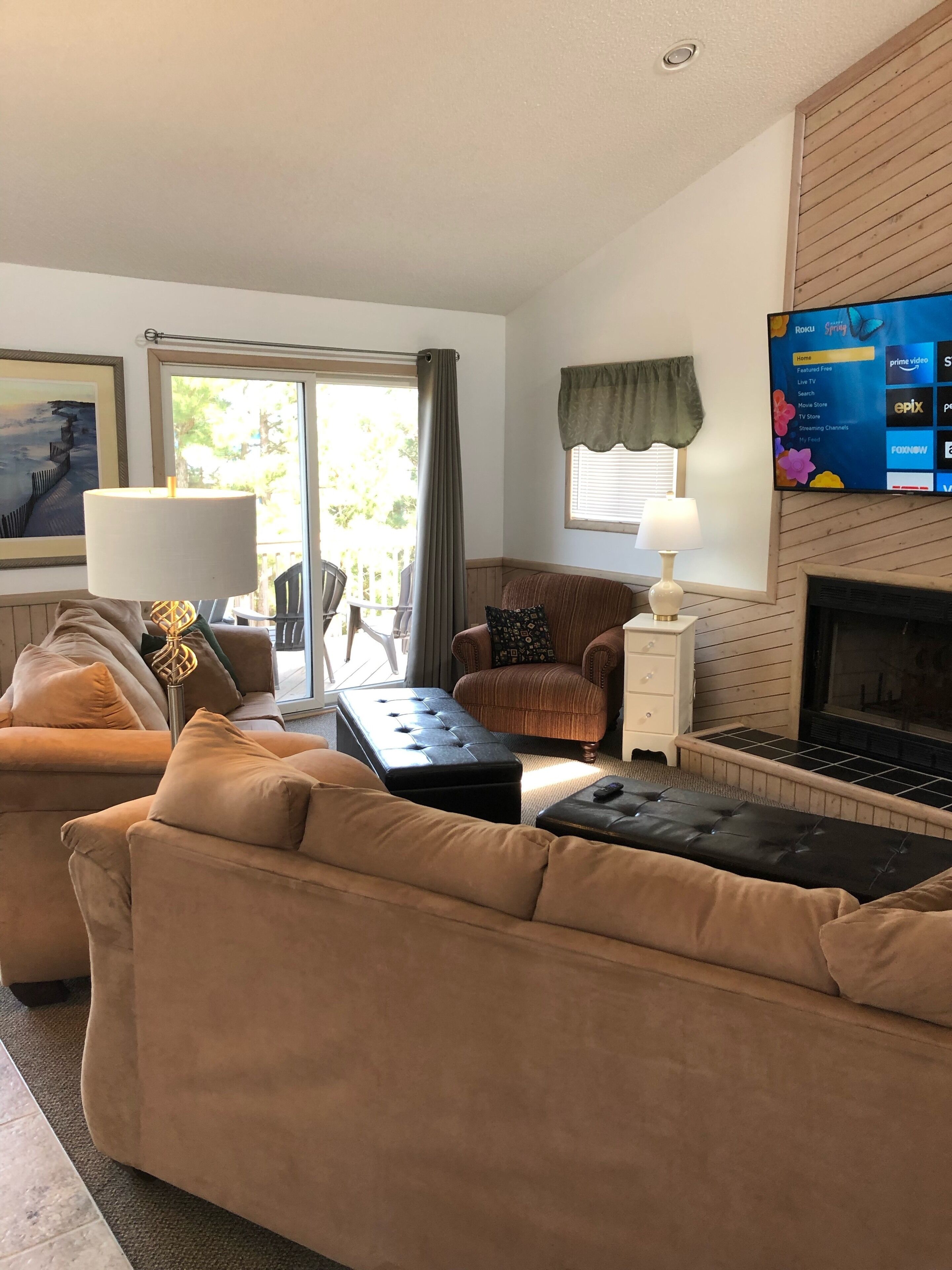 TV connectée, cheminée, lecteur de DVD, livres