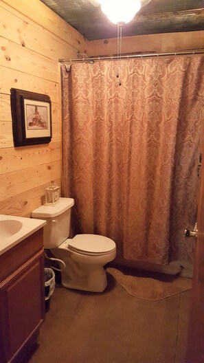 Combined shower/bathtub, hair dryer, towels, toilet paper - Cabins on Brushy at Smith Lake (Addison)