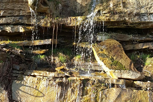 Parco della struttura