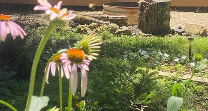 Caddo River Crossing Cabin E - Blick auf den Fluss und Zugang