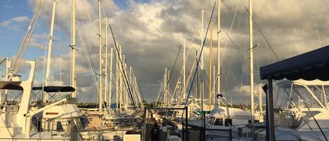 Marina
