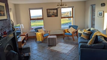 TV, fireplace, DVD player, books