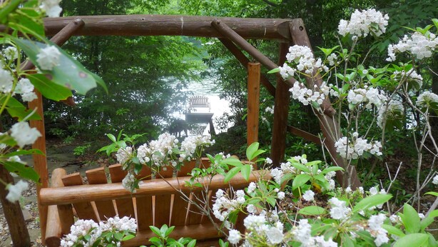 A wooden pergola structure surrounded by lush greenery and white flowering plants. - Spa Cabin: Lakefront w Private Sauna & Hot Tub, Kayaks, Dock, 5 Star Clean Rated (Oakland)