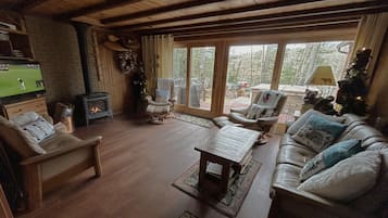 Smart TV, video games, DVD player, books