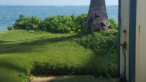Zona verde con una palmera, una rejilla de metal y un pequeño cobertizo junto al océano.