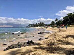 Plage à proximité, chaises longues, serviettes de plage
