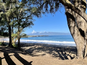 Plage à proximité, chaises longues, serviettes de plage
