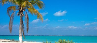 Casa Mayaland, a secluded Jungle Oasis! In Isla Mujeres, the southern point.