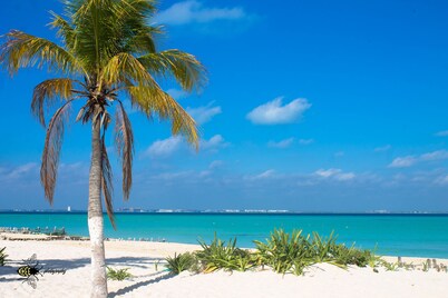 Casa Mayaland, a secluded Jungle Oasis! In Isla Mujeres, the southern point.