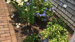 Un jardin avec des fleurs et un drapeau américain.