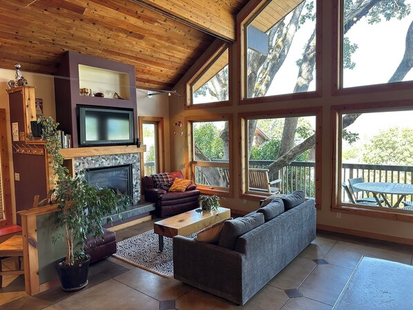TV, fireplace, DVD player, books - Columbia Tree House - Downtown Hood River with Big View and Fenced Yard (Hood River)