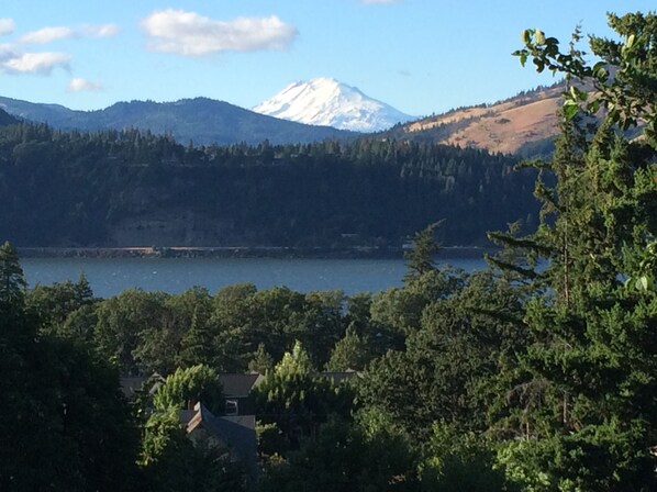 Una montaña con un pico nevado, un lago y un bosque denso al frente.