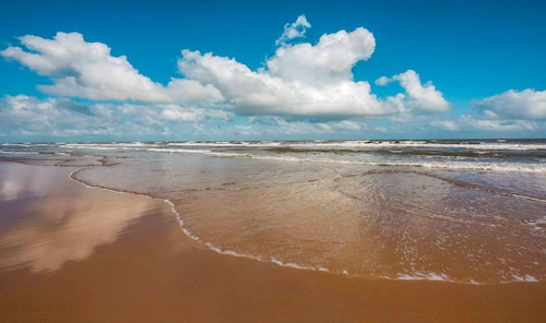Large Pet-friendly House, 2-min Walk to Private Palm Beach Galveston