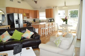 Smart TV, fireplace, DVD player, books