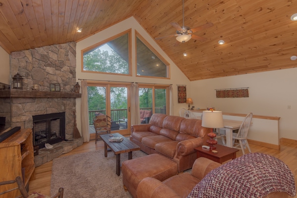 Smart TV, fireplace, video games, DVD player