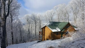 A wooden cabin with a green roof surrounded by snow-covered trees. - Get-Away Mountain Cabin. Hot Tub, Sunset Mtn. Views, Game Room, Near Asheville (Mars Hill)