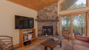 TV connectée, cheminée, jeux vidéo, lecteur de DVD