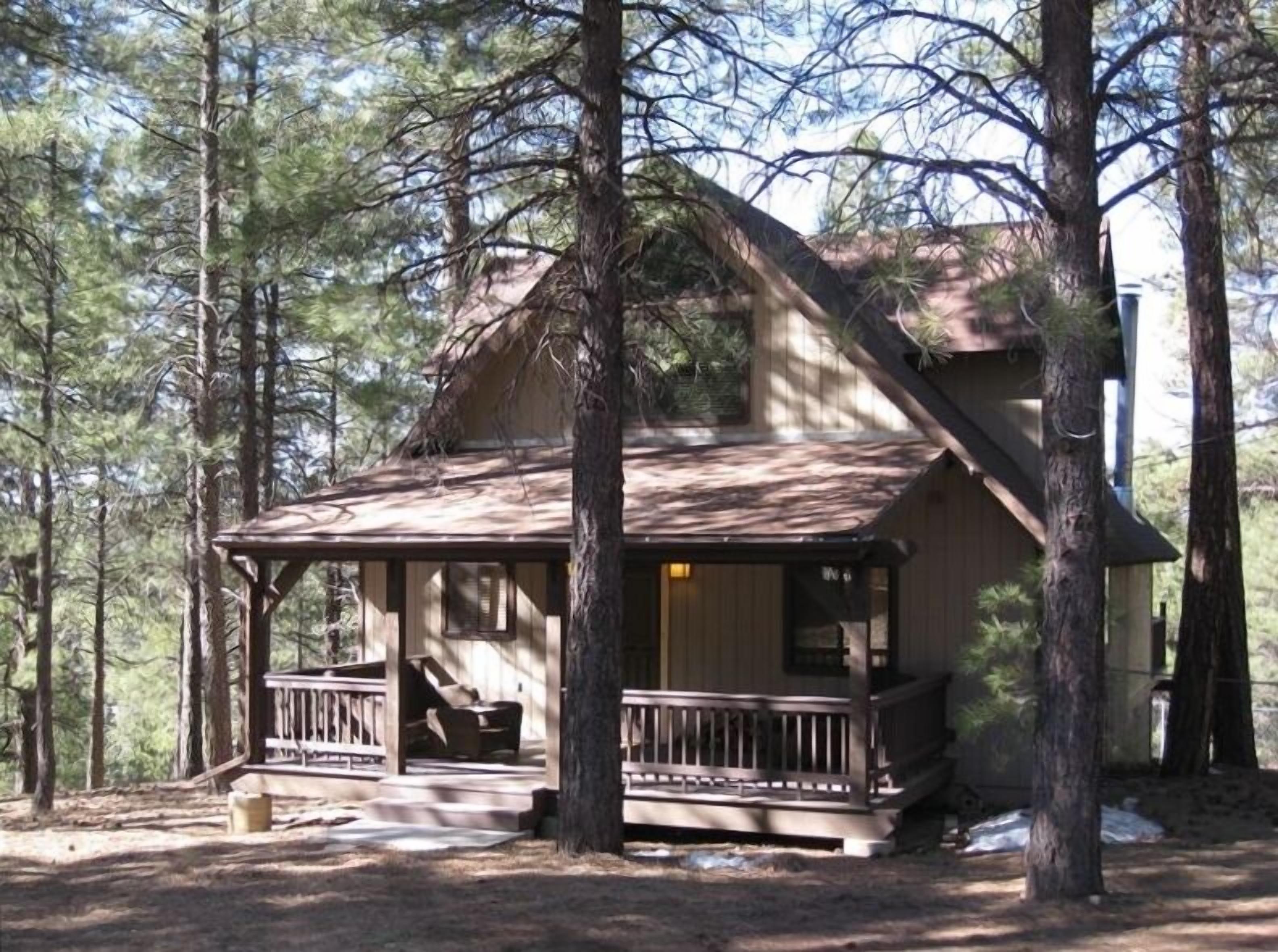 Great Reviews and all home conveniences - Fully Remodeled Cabin!
