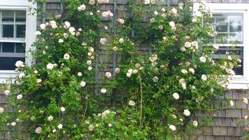 Detalle del exterior