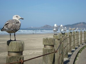 Platja a a prop