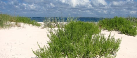 Beach nearby, sun loungers, beach towels