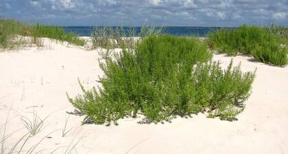 Romantic Escape For Captain & 1st Mate