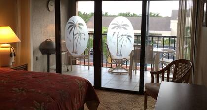 Escape the cold and enjoy our condo and pool this winter. Book now!!